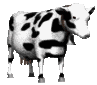 :vache:
